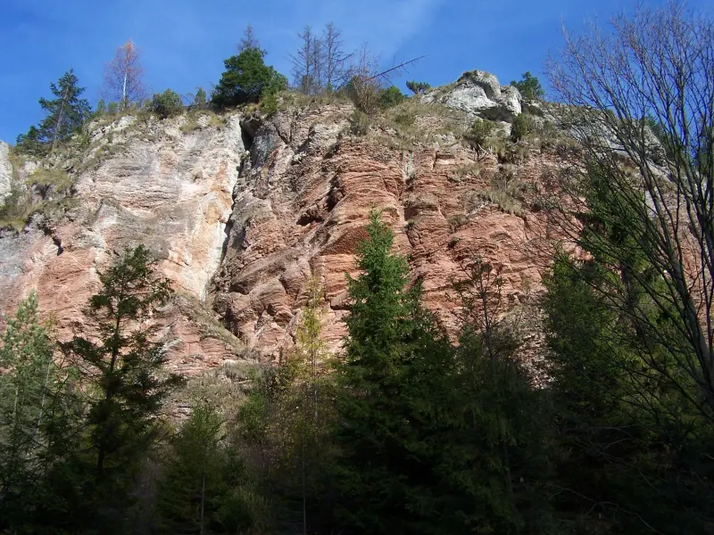 Zdjęcie 2