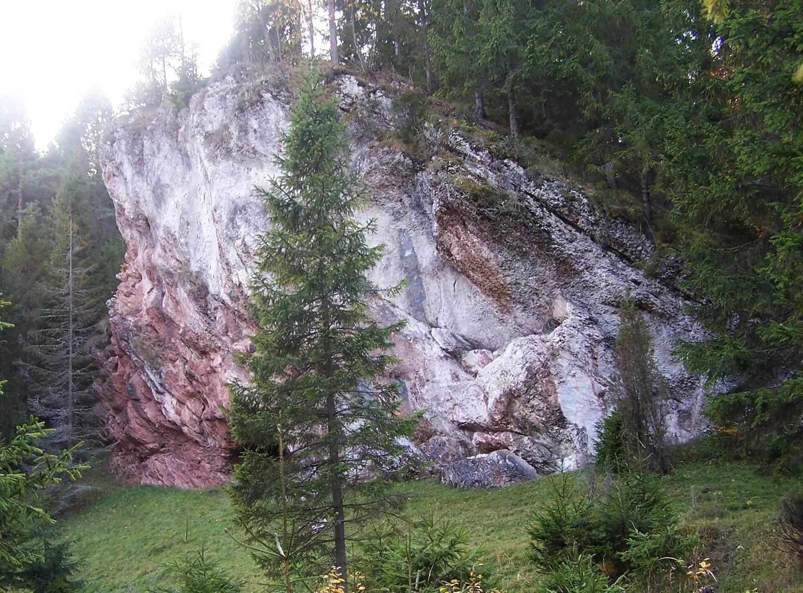 Rezerwat Zaskalskie-Bodnarówka