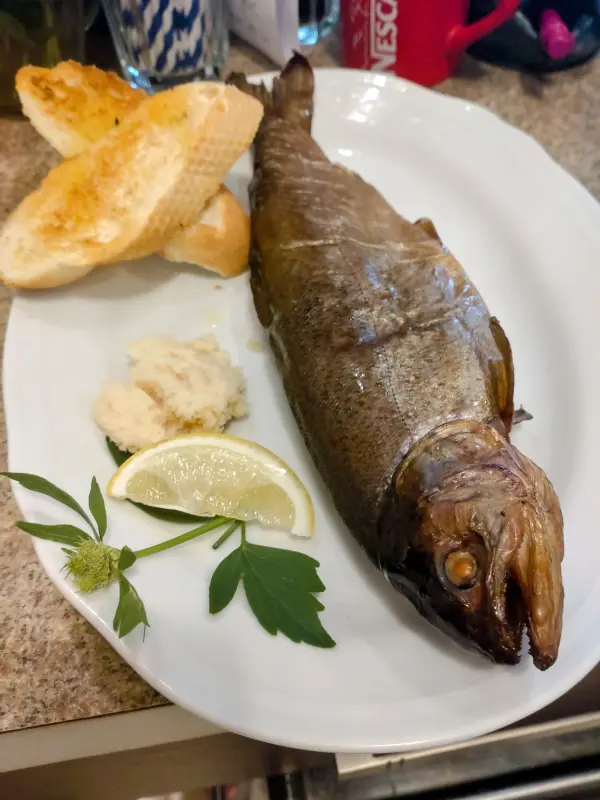Zdjęcie 11